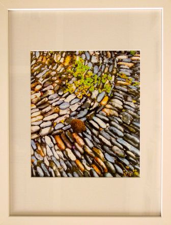 Fragments - 2013<br /><br /><h6>Cornwall: Path</h6>  Artistâ€™s photographic print on Somerset Velvet 1/5 <br /> 300mm x 400mm H <br /><br /><br /><br /><br /><br /><br /><h7>For sale</h7>